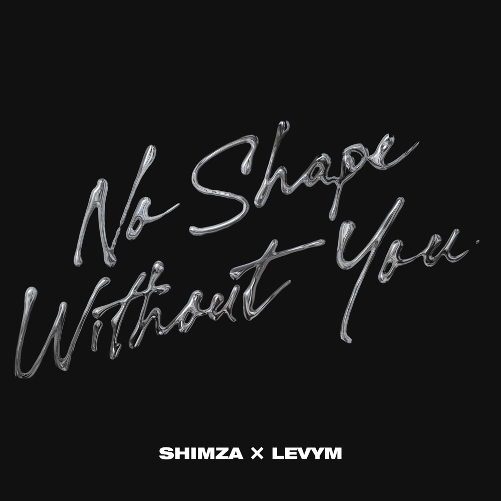 No Shape Without You artwork