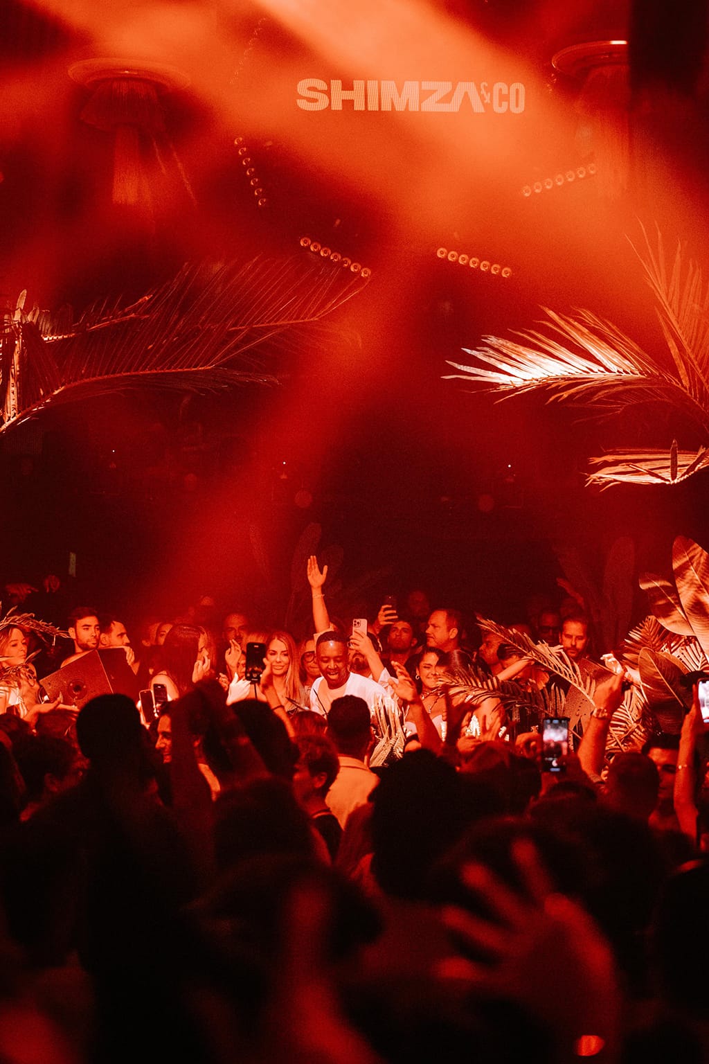 Live Signal 018 - Shimza live photography